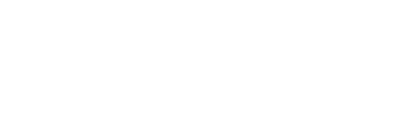 native – advisory x education